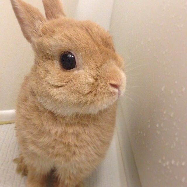 ちょっと汚いから、お風呂！