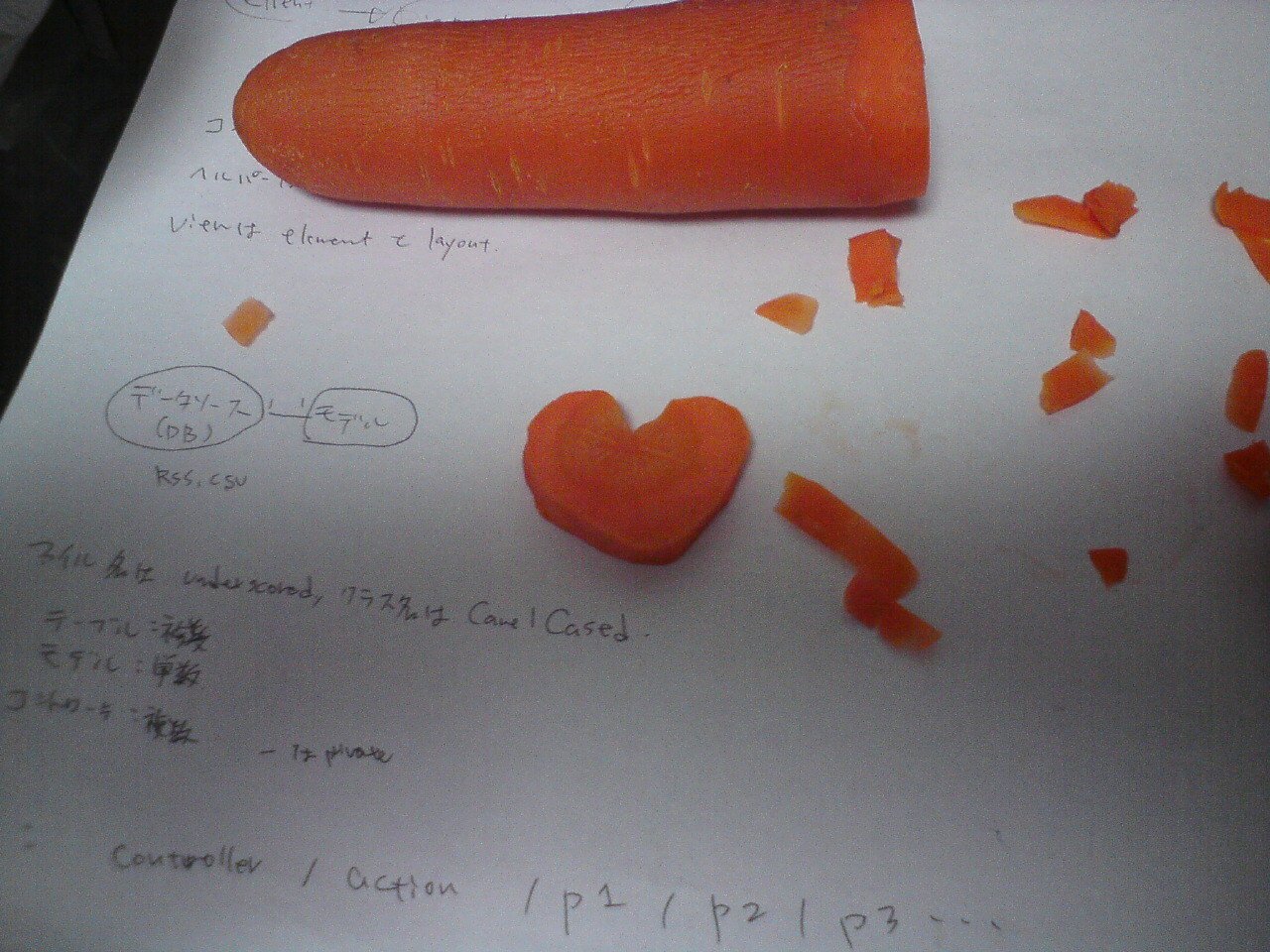 ネザーランドドワーフ みるくの写真 - 20090215004112.jpg