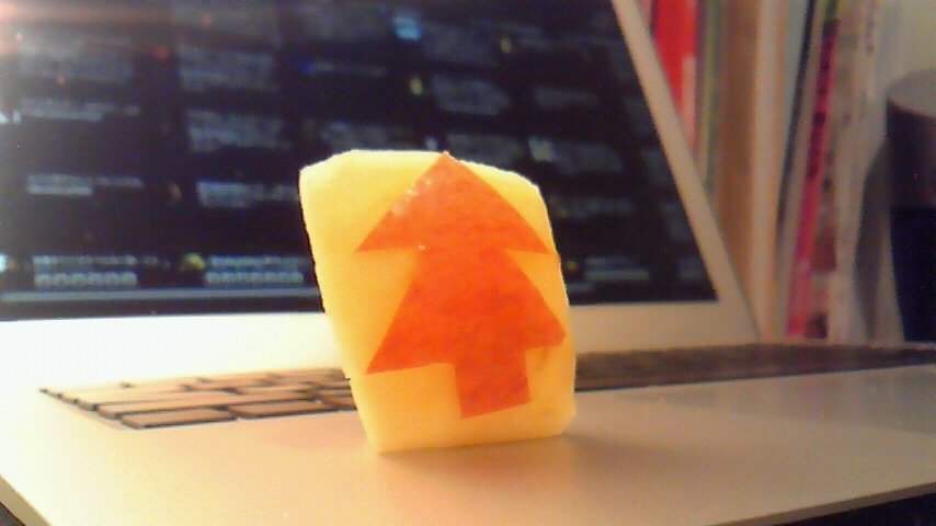 ネザーランドドワーフ みるくの写真 - 201012260004000.jpg