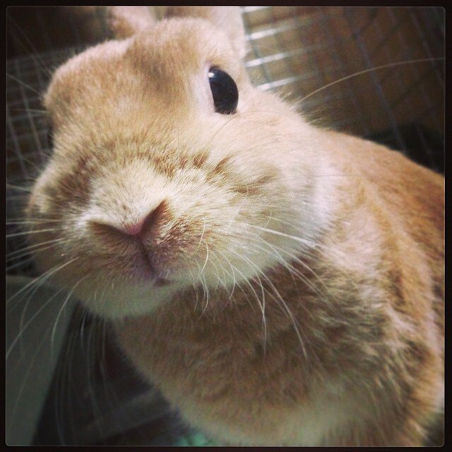 わんばんこ！今日は暑いねー！