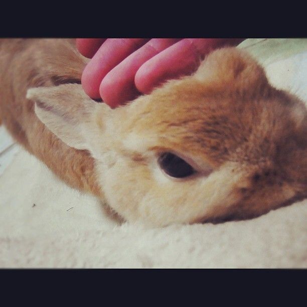 12月18日だよ！七五三やらなきゃ！