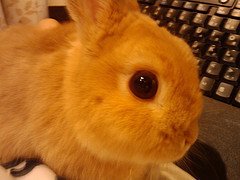 今日はあったかいね！