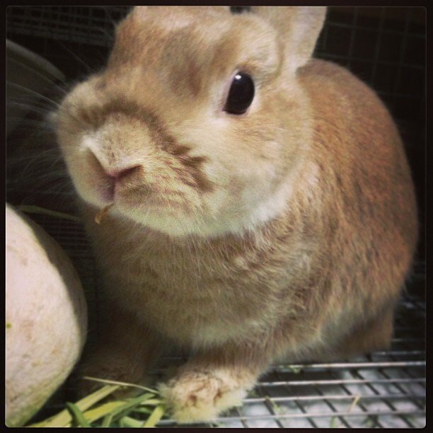 24時間クーラー生活開始！