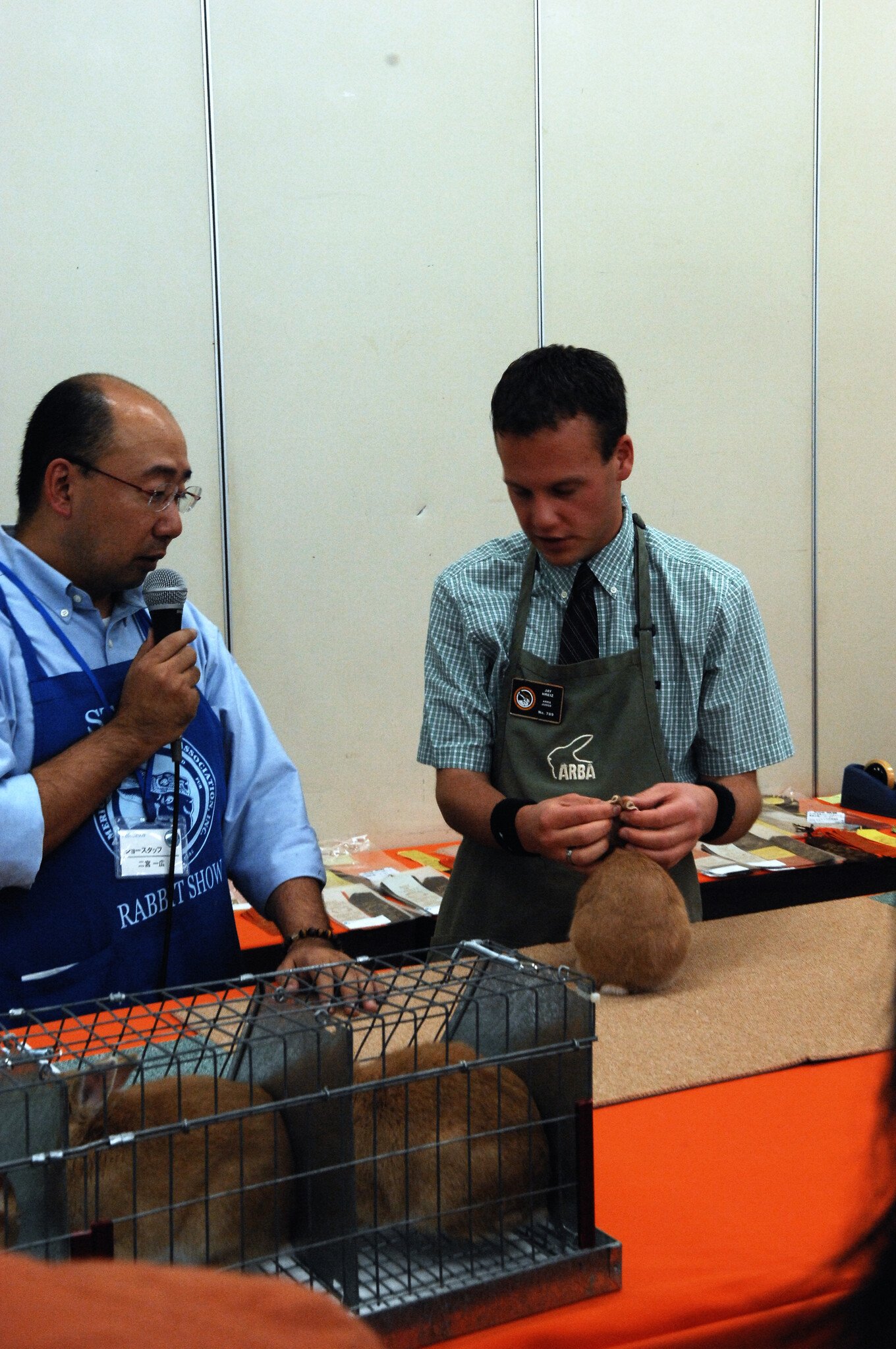 ネザーランドドワーフ みるくの写真 - DSC_1596.JPG