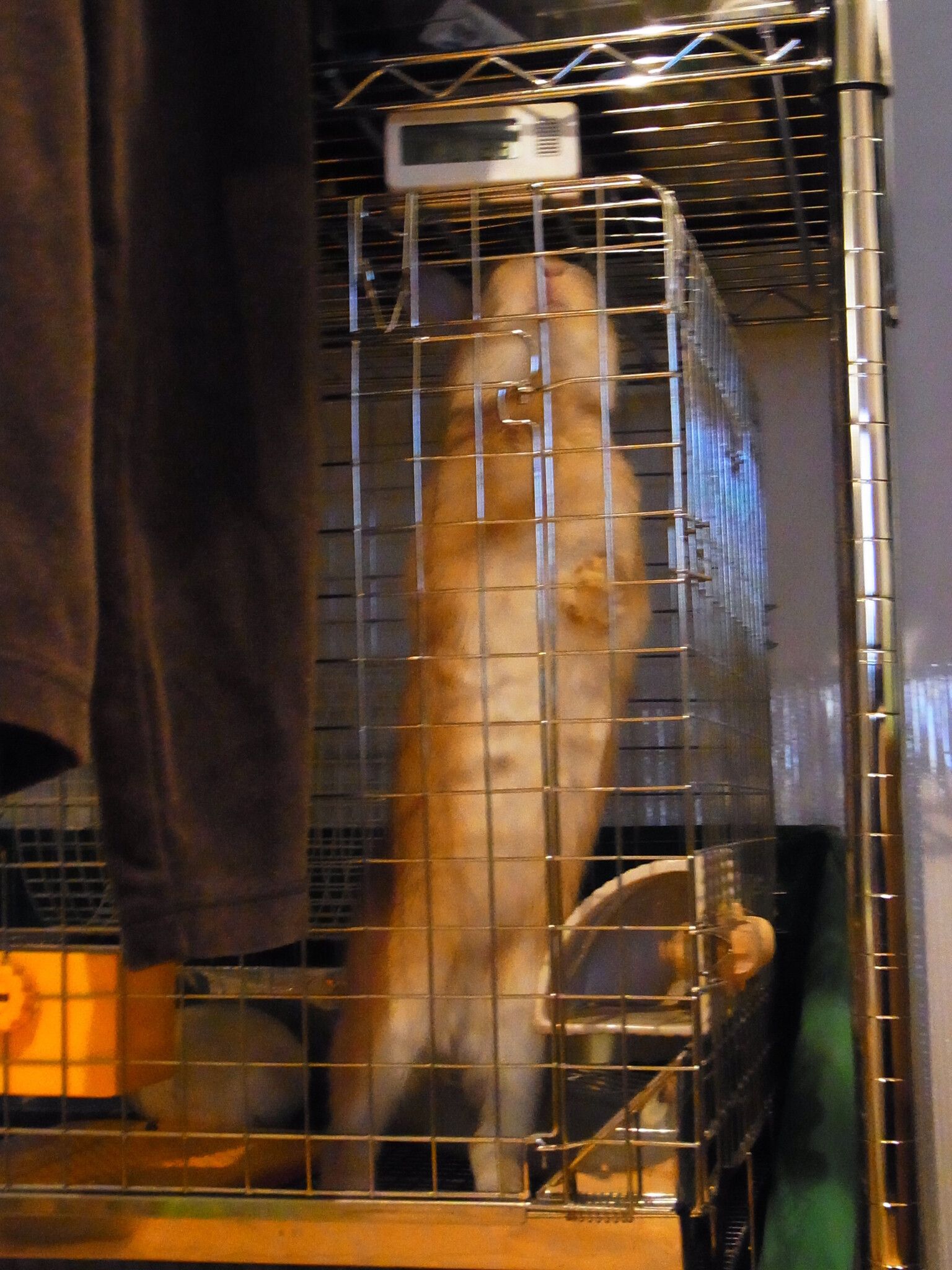 名前を呼ぶと・・・