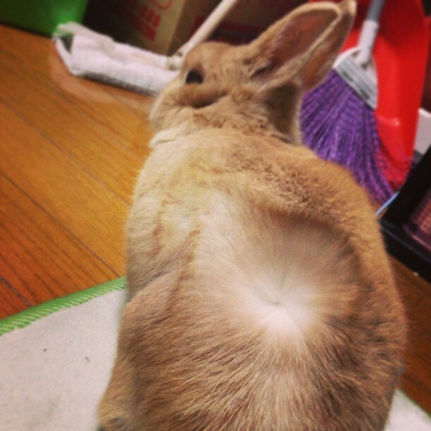 冷風MAX！！( ´ ▽ ` )ﾉ