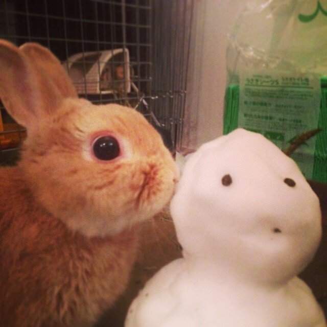 ぺろぺろ
