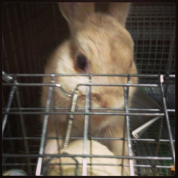 ヘチマから手が滑った！