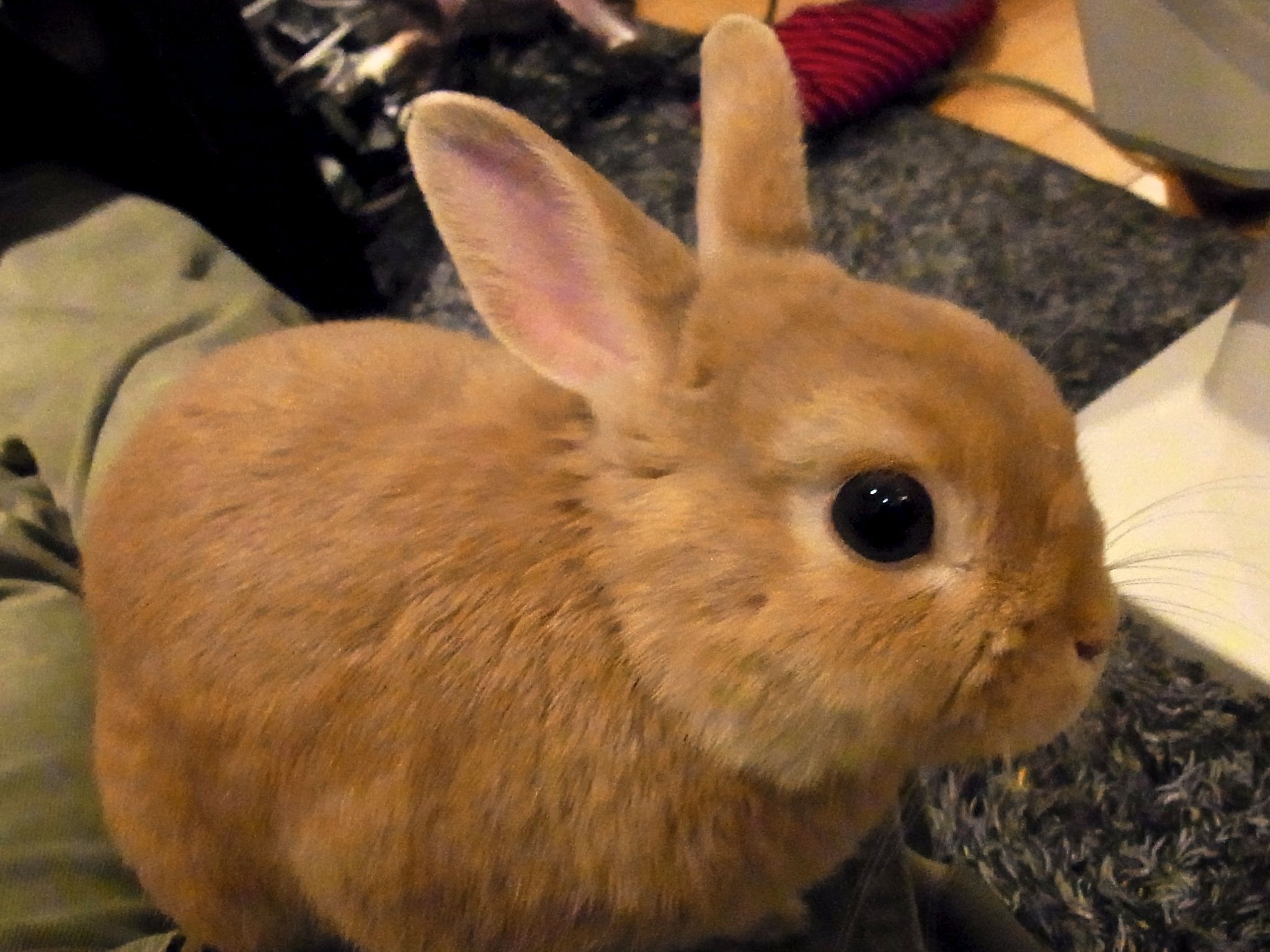 最近寒いよね〜