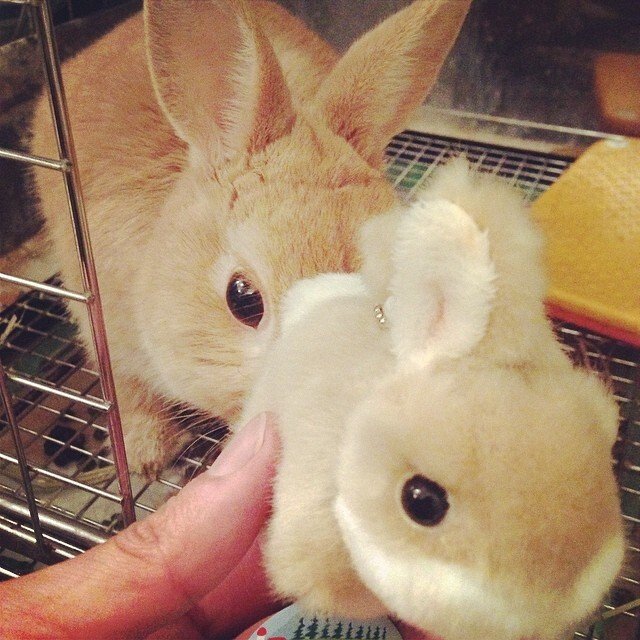 おんなじ