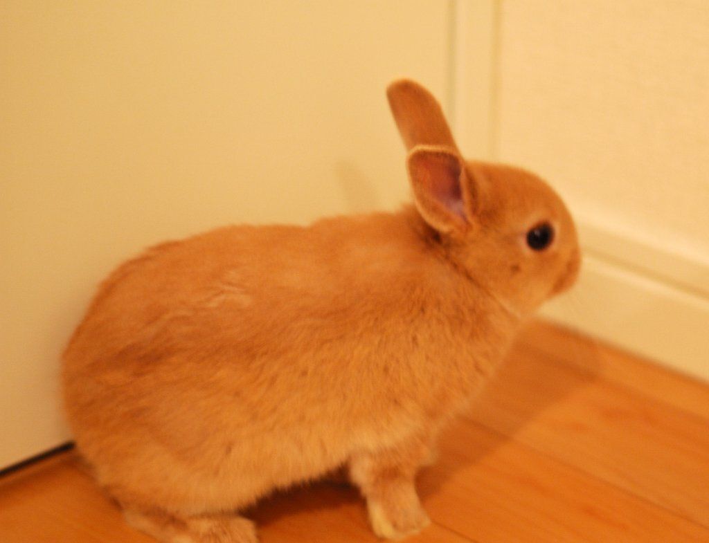 初めてのお外！