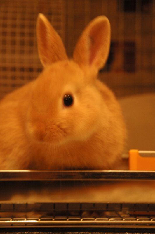 はろ～！暖かくなってきたね！