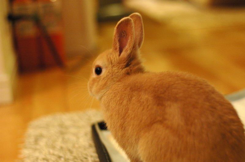 ゆうくんが帰ってこないよ＝＝＝