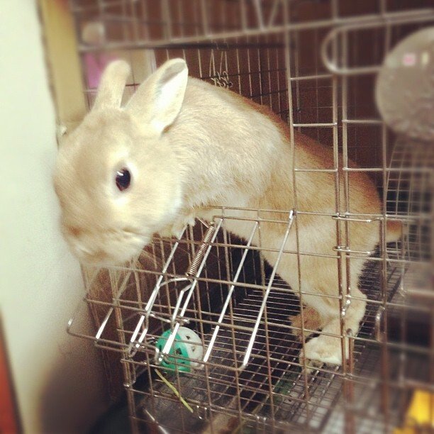 おやつ大好き！