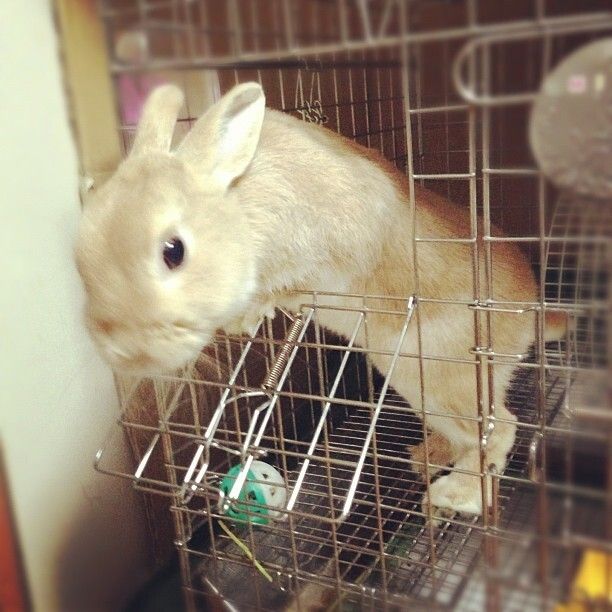 おやつ大好き！