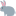 ネザーランドドワーフ みるくの写真 - favicon-16x16.png