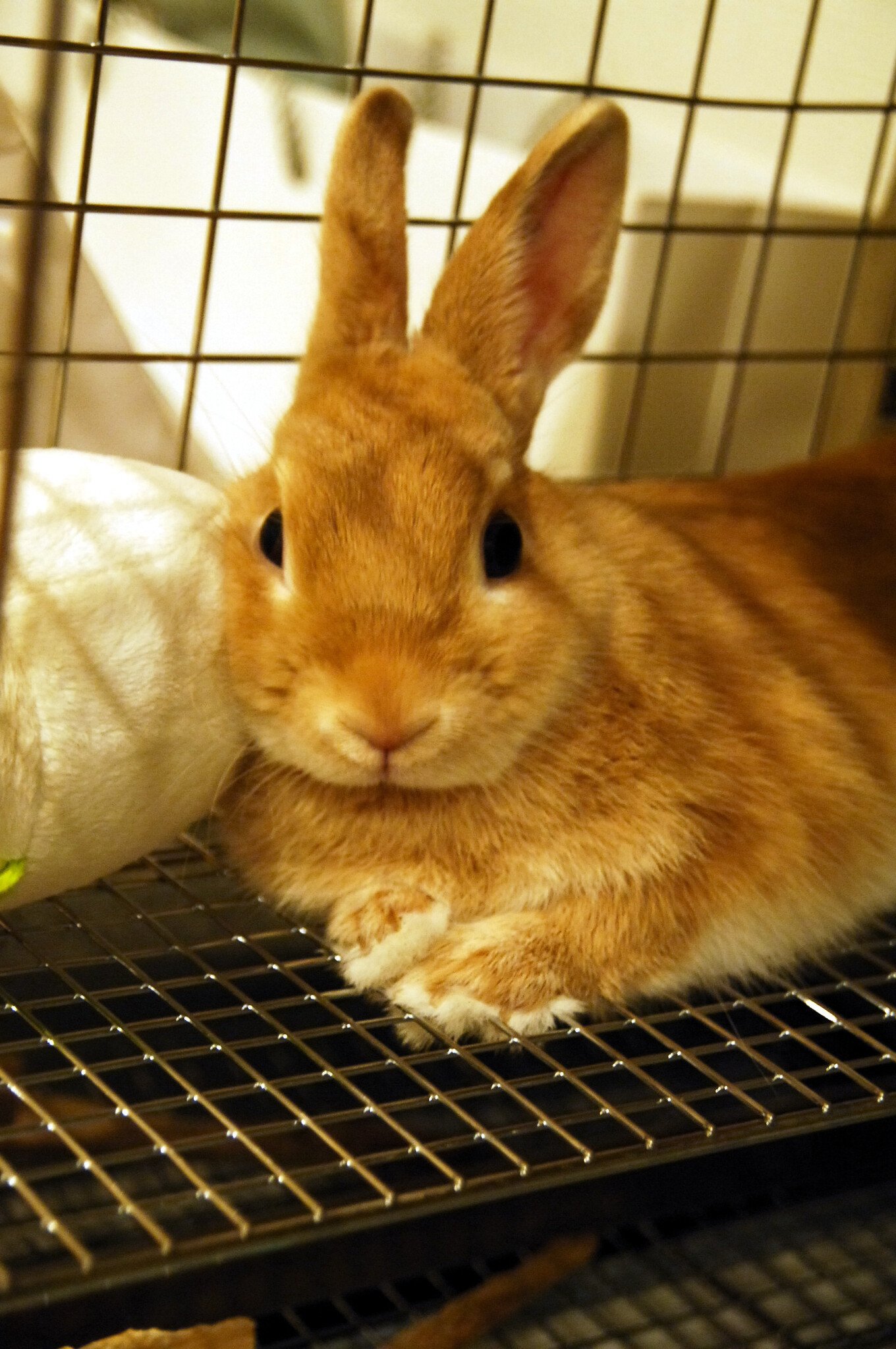 最近暑かったよねぇ～