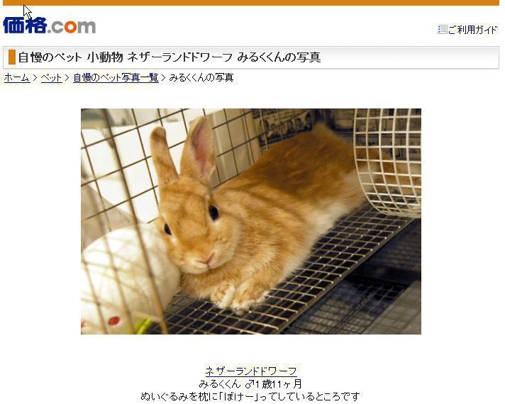 写真載っちゃった！